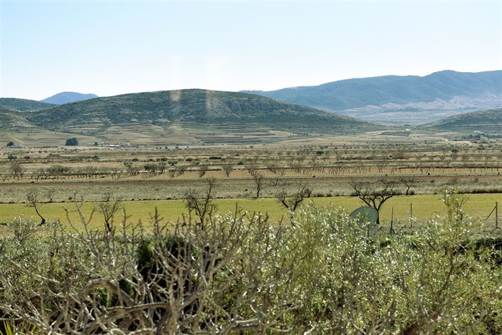 Image No.28-Maison de campagne de 4 chambres à vendre à Jumilla