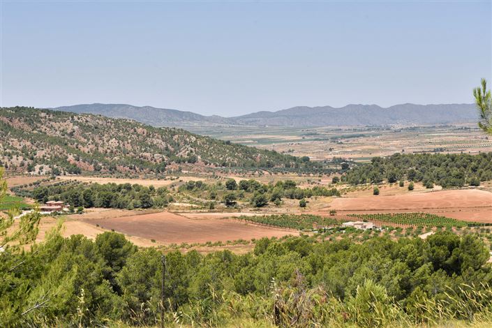 Image No.2-10 Bed Commercial for sale