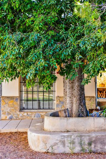 Image No.26-10 Bed Commercial for sale