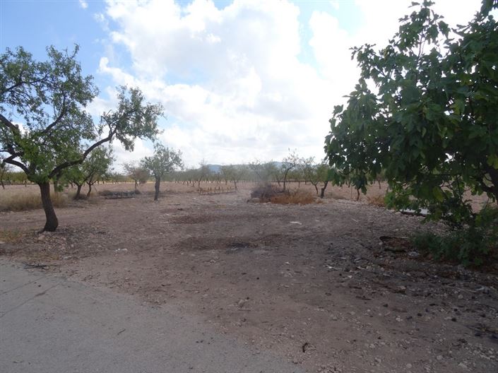 Image No.13-Maison de campagne de 4 chambres à vendre à Yecla