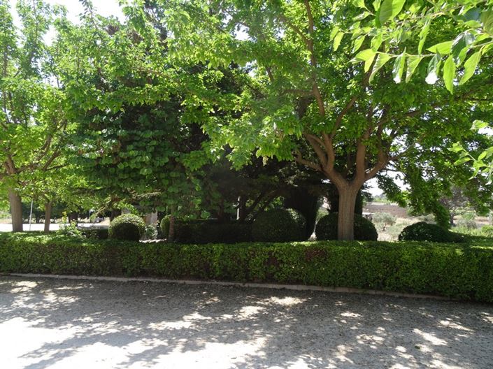 Image No.8-Ferme de 7 chambres à vendre à Pinoso