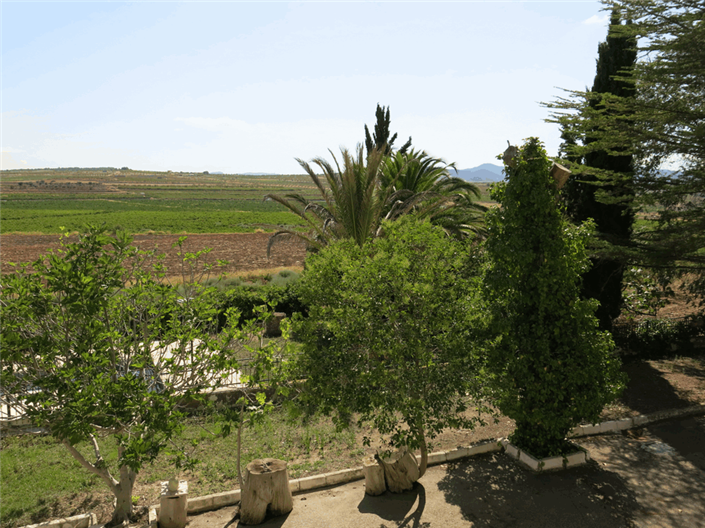 Image No.20-Maison de campagne de 6 chambres à vendre à Pinoso