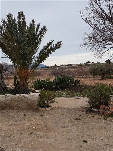 Image No.22-Maison de campagne de 3 chambres à vendre à Murcie