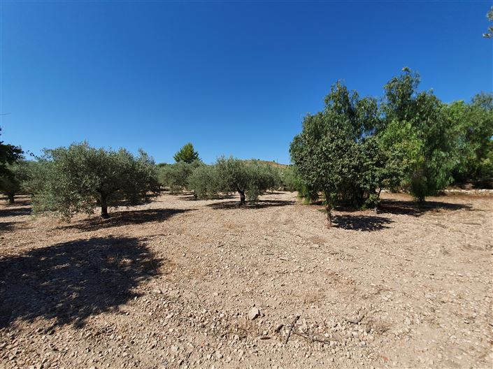 Image No.12-Maison de campagne de 5 chambres à vendre à Monóvar