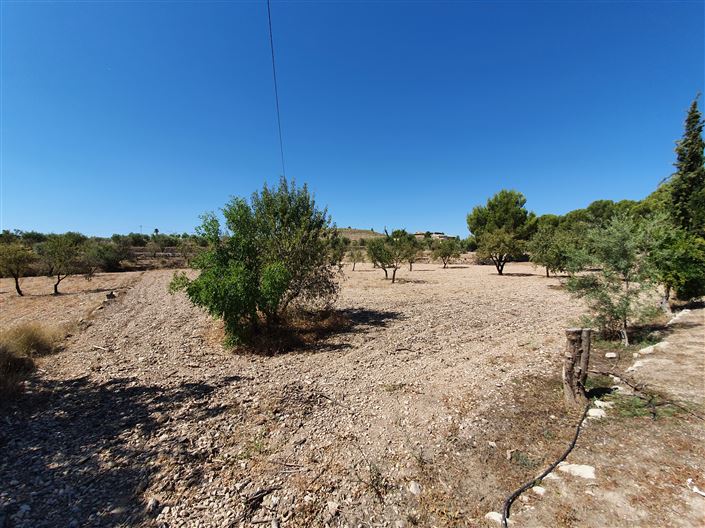 Image No.13-Maison de campagne de 5 chambres à vendre à Monóvar