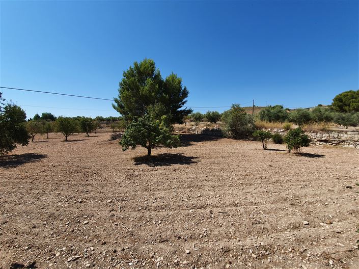 Image No.14-Maison de campagne de 5 chambres à vendre à Monóvar