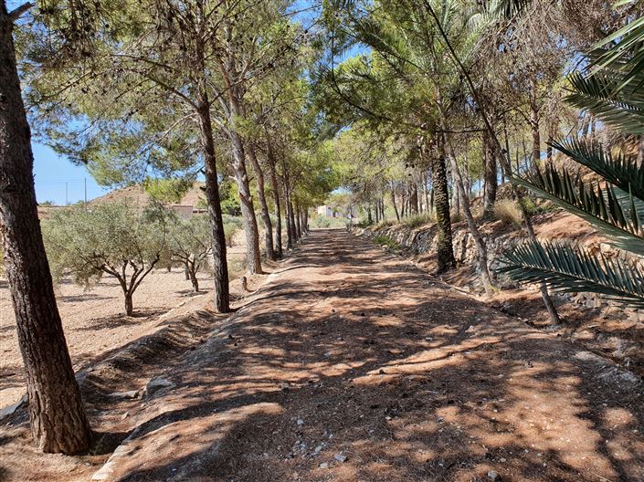 Image No.3-Maison de campagne de 5 chambres à vendre à Monóvar