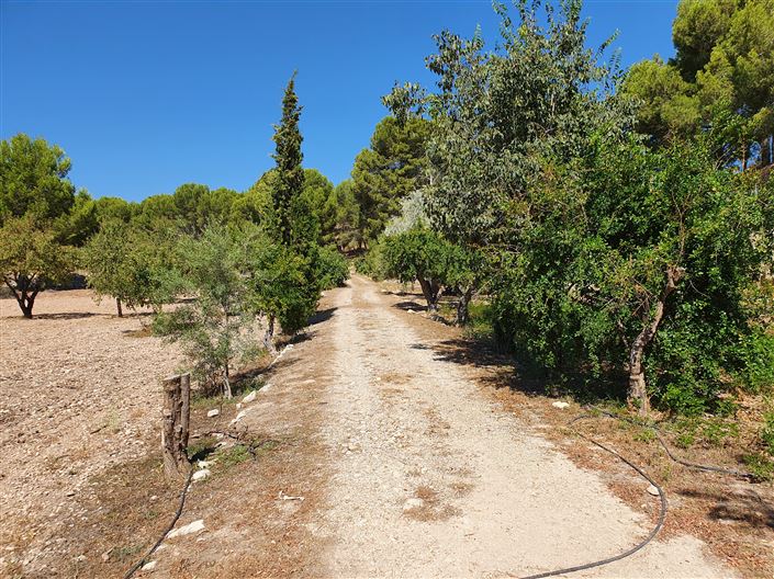 Image No.4-Maison de campagne de 5 chambres à vendre à Monóvar