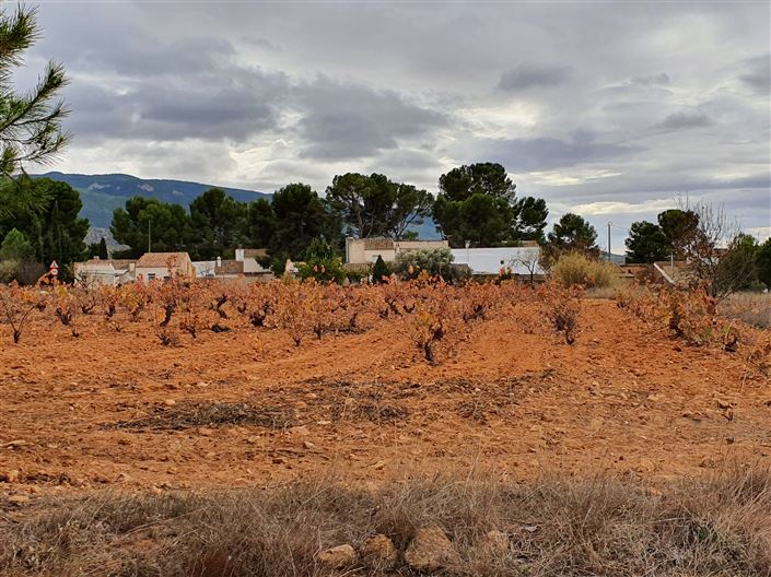 Image No.23-Maison de campagne de 2 chambres à vendre à Yecla