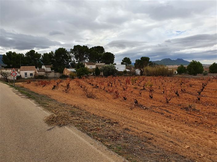 Image No.24-Maison de campagne de 2 chambres à vendre à Yecla