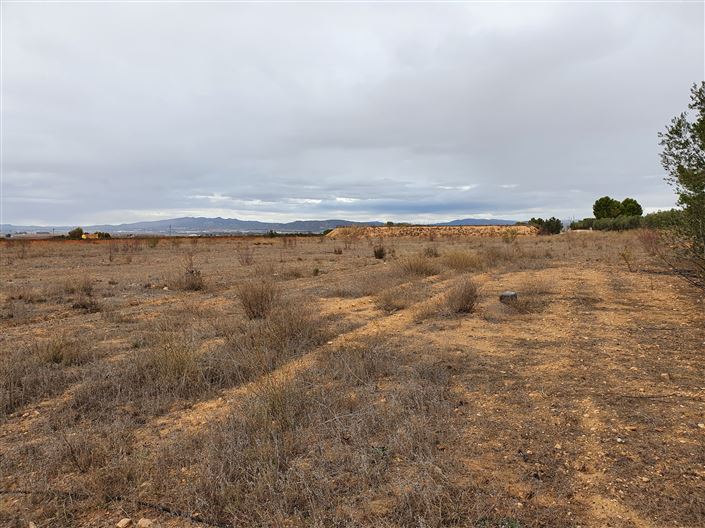 Image No.27-Maison de campagne de 2 chambres à vendre à Yecla