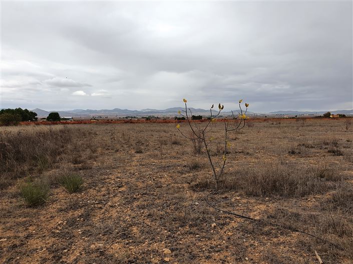 Image No.28-Maison de campagne de 2 chambres à vendre à Yecla
