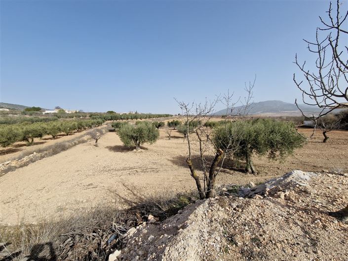 Image No.4-3 Bed Cottage for sale