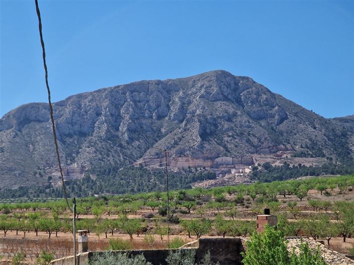 Image No.3-Maison de campagne de 9 chambres à vendre à Abanilla