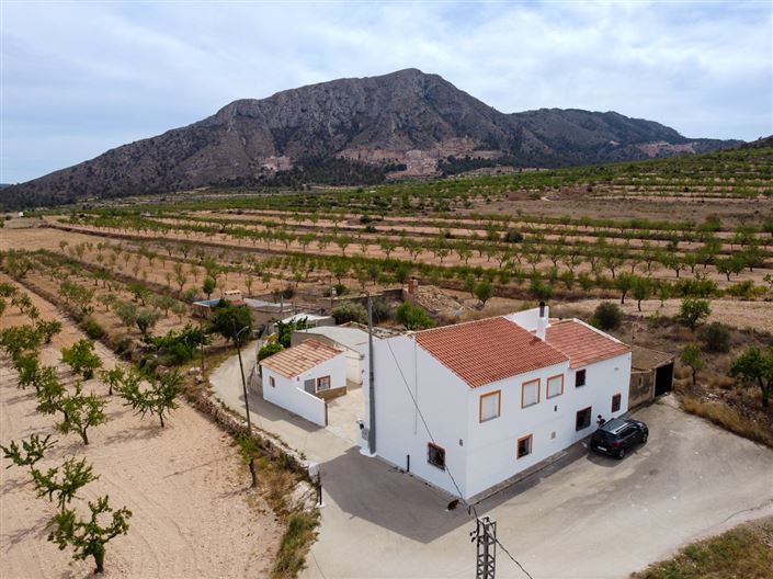 Image No.4-Maison de campagne de 9 chambres à vendre à Abanilla