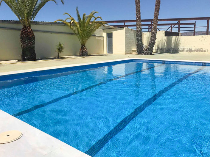 Image No.3-Maison de campagne de 6 chambres à vendre à Monóvar