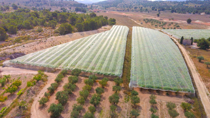 Image No.8-Maison de campagne de 6 chambres à vendre à Monóvar
