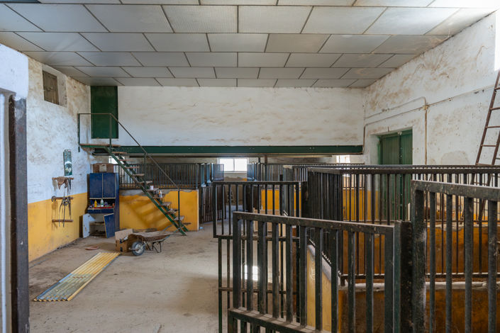 Image No.27-Maison de campagne de 6 chambres à vendre à Monóvar