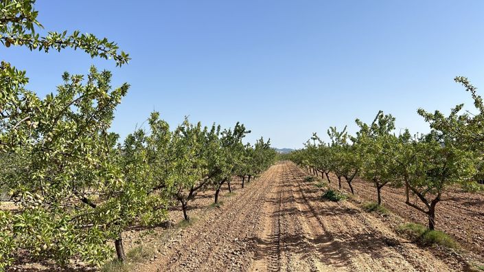 Image No.7-Villa de 3 chambres à vendre à Pinoso