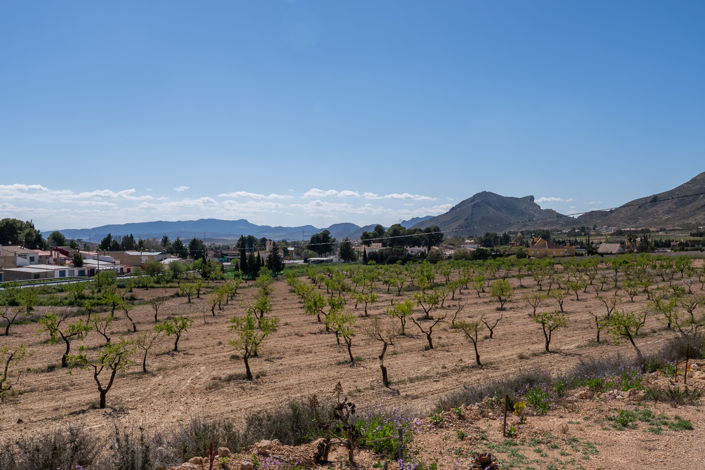 Image No.7-Maison de campagne de 7 chambres à vendre à Jumilla