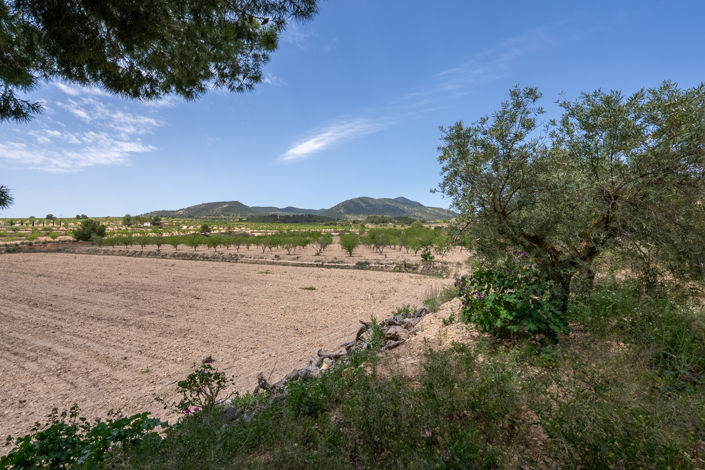 Image No.3-Chalet de 2 chambres à vendre à Alicante