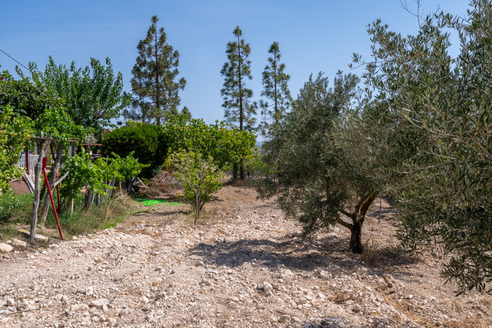 Image No.24-2 Bed Country House for sale