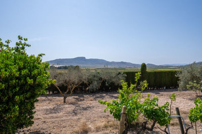 3841casayolanda200625140126cf32046