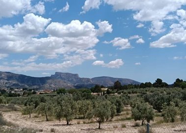 3872fabulous4bedvillawithselfcontainedguestho