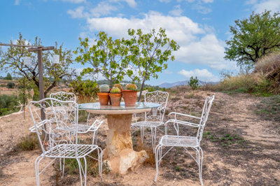 3908beautiful4bedcountryhouseinelalgayat14102