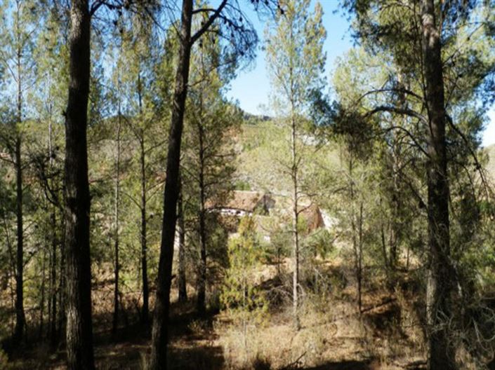 Image No.13-Villa à vendre à Velez-Rubio