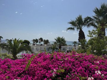 lv866-townhouse-for-sale-in-mojacar-7906673-u