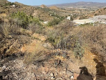 lancr100-land-for-sale-in-mojacar-82445642-uw