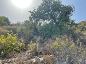 lancr100-land-for-sale-in-mojacar-84869445-uw