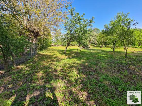 Image No.23-6 Bed House for sale