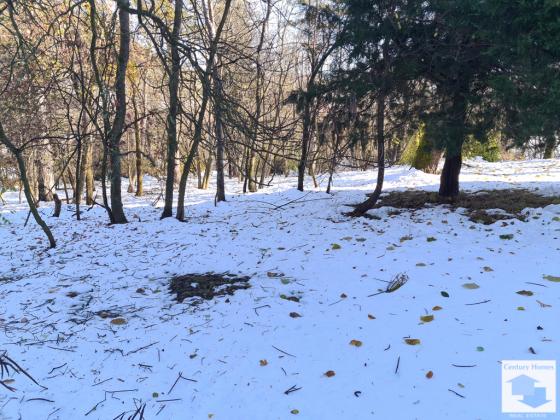 Image No.17-8 Bed House for sale