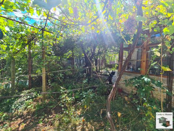 Image No.21-3 Bed House for sale