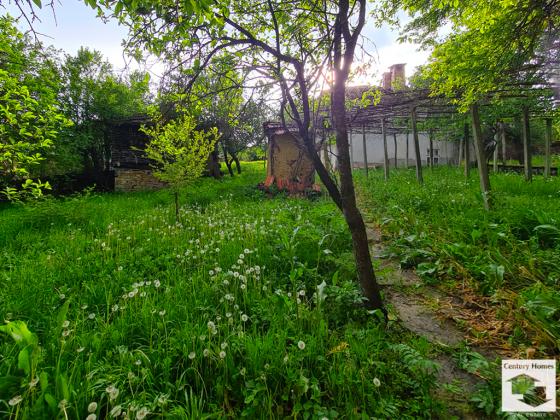 Image No.19-4 Bed House for sale