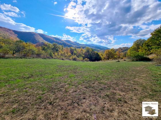 Image No.21-4 Bed House for sale