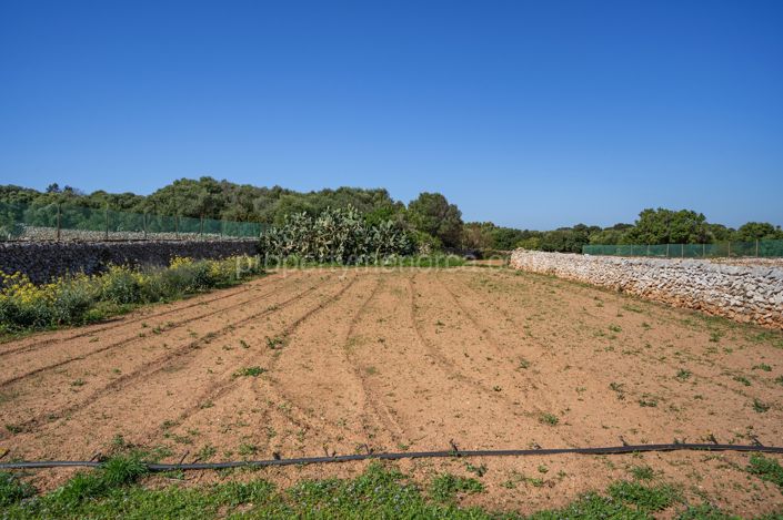 Image No.39-5 Bed Villa for sale