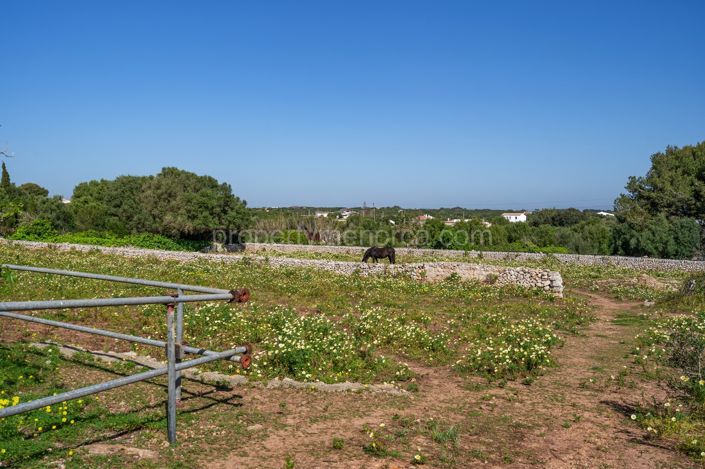 Image No.43-5 Bed Villa for sale