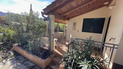 1 - Stari Grad, House