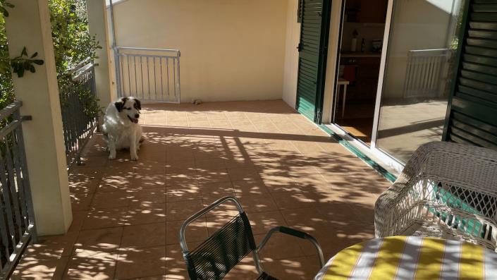 Image No.10-Maison de 2 chambres à vendre à Stari Grad