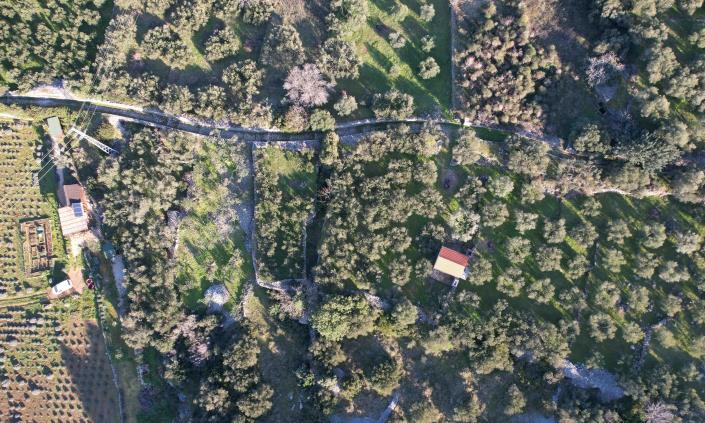 Image No.2-Vignoble à vendre à Jelsa