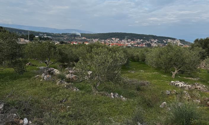 Image No.3-Vignoble à vendre à Jelsa