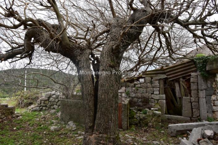 Image No.11-3 Bed Farmhouse for sale