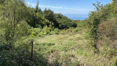 --------------------------------------------------10285--5-