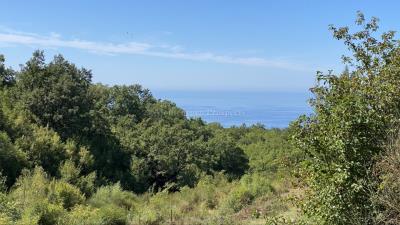 --------------------------------------------------10285--6-