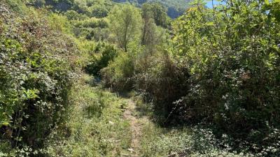 --------------------------------------------------10285--8-