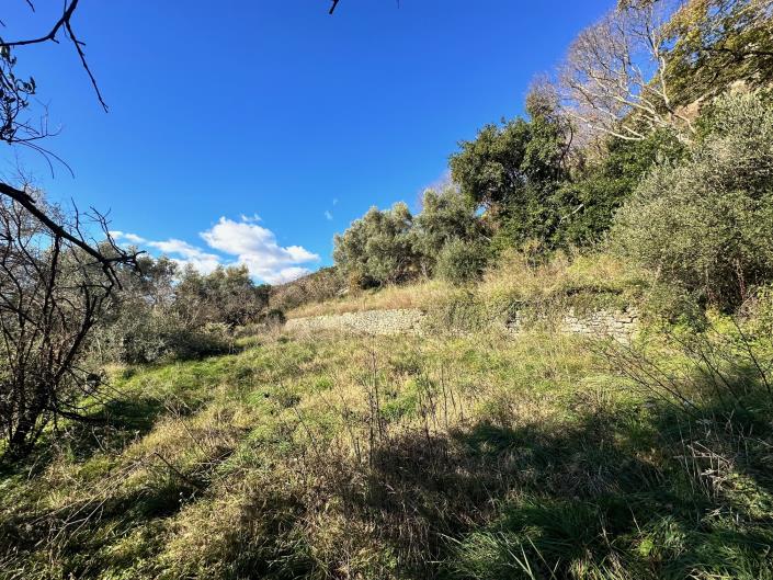 Image No.4-Plot for sale