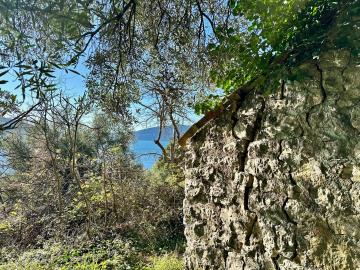 14144-Plot-in-Kumbor-for-sale---11-